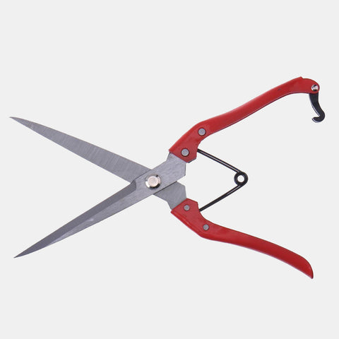 12" Stainless Steel Shears